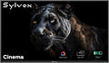 SYLVOX Fernseher, Schwarz, Outdoor, 55' Mini-LED QLED TV Outdoor, IP55 Wasserdicht