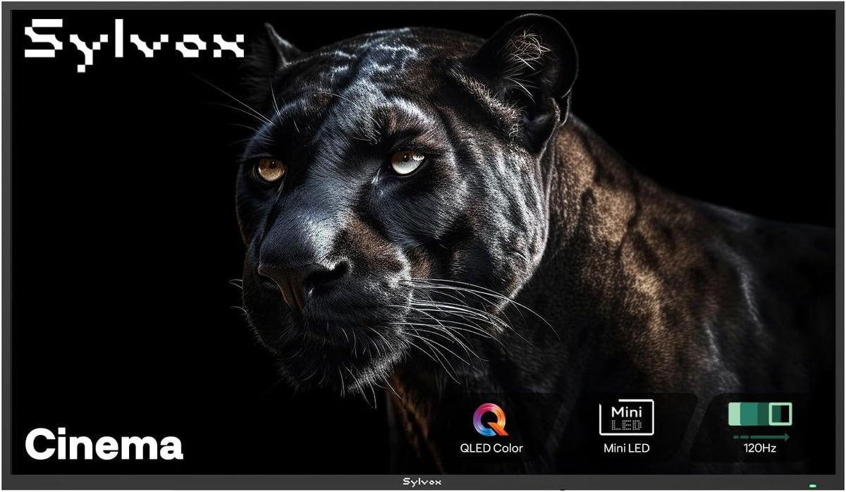SYLVOX Fernseher, Schwarz, Outdoor, 55' Mini-LED QLED TV Outdoor, IP55 Wasserdicht