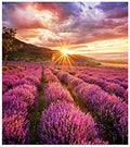 Samsung Digital-Signage-Display, Schwarz, IF025H, If Series LED-Display Unit, 196 x 216