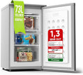 Stillstern Gefrierschrank, 73 L, Silber, Klein 4-Sterne-Gefrierfach -18°C ger. Energiever. Mini, stufenlos reg. Temp